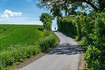 Holsteinische Schweiz