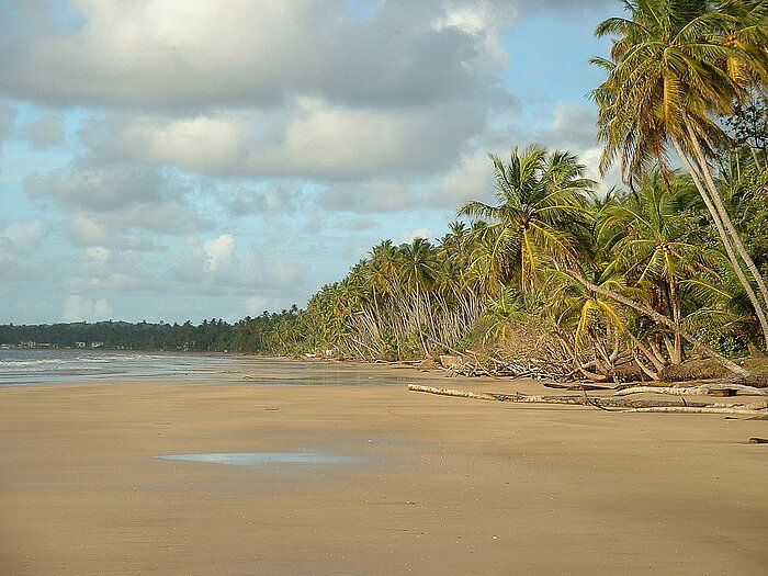 Mayaro Strand, Trinidad