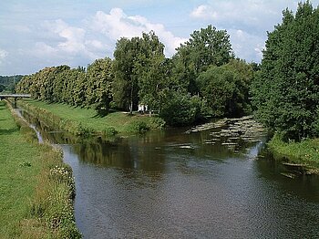 Brigach und Breg bilden Donau