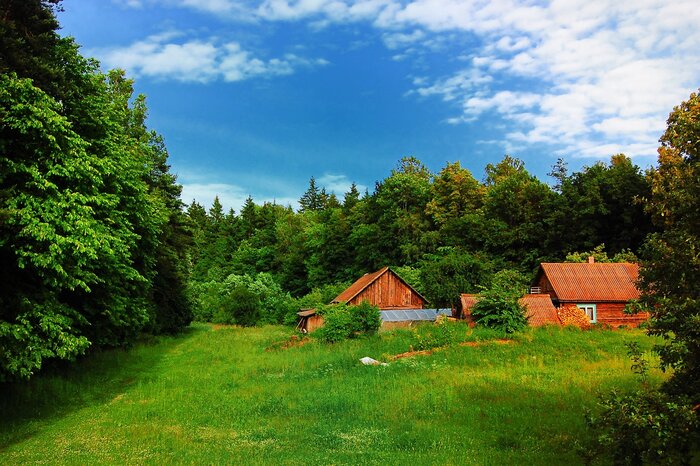 Grüne Landschaft in Litauen