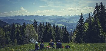 Alpen in Österreich