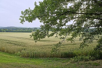 Niedersachsen Fläche