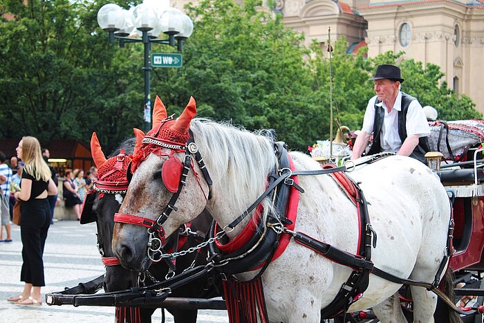 Einwohner Tschechiens in Prag