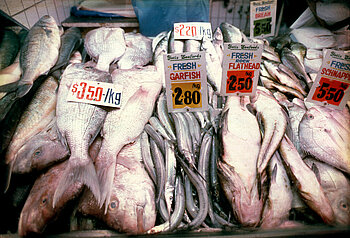 Fischmarkt, Australien