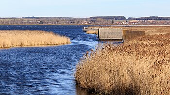 Federsee