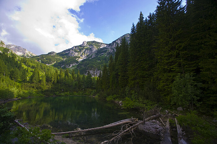 Nationalpark Bjeshkët e Nemuna