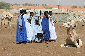 Mauren auf dem Kamelmarkt in Nouakchott