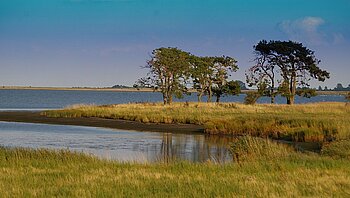 Greifswalder Bodden