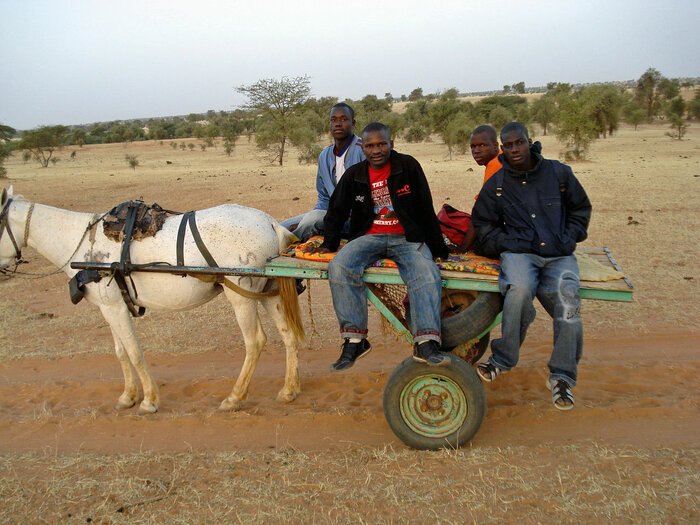 Pferdekarren auf dem Weg nach Ndoussoudji