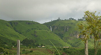 Grüne Landschaft in Kamerun