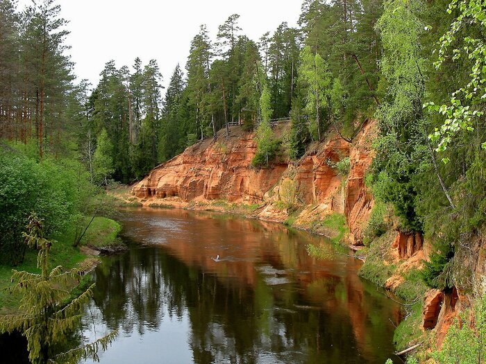 Fluss in Lettland