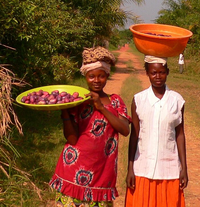 Safu-Ernte in der DR Kongo