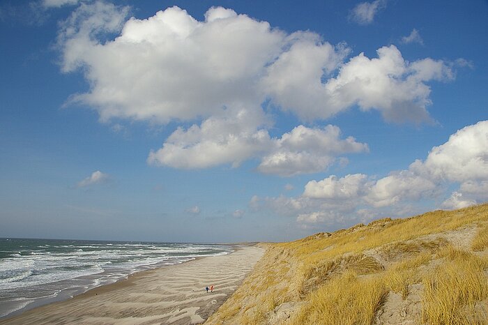 Strand in Dänemark