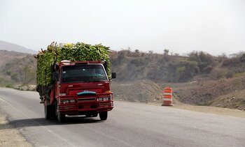 Bananentransport in der Dominikanischen Republik