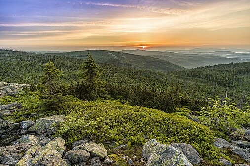 Bayerischer Wald, Lusen