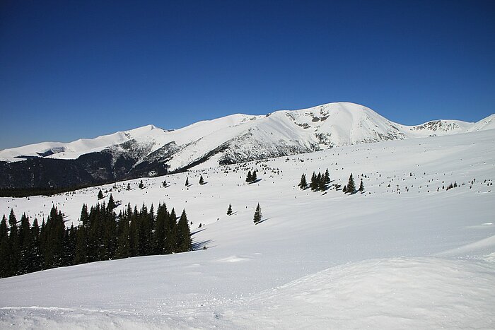 Winter in Gorj in Rumänien