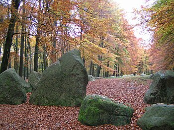 Hünengrab Niedersachsen