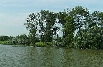 Donaudelta