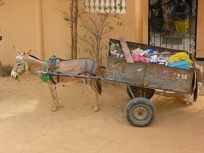 Senegal Alltag