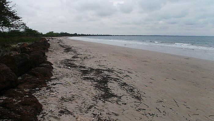 Kap Esterias in Gabun