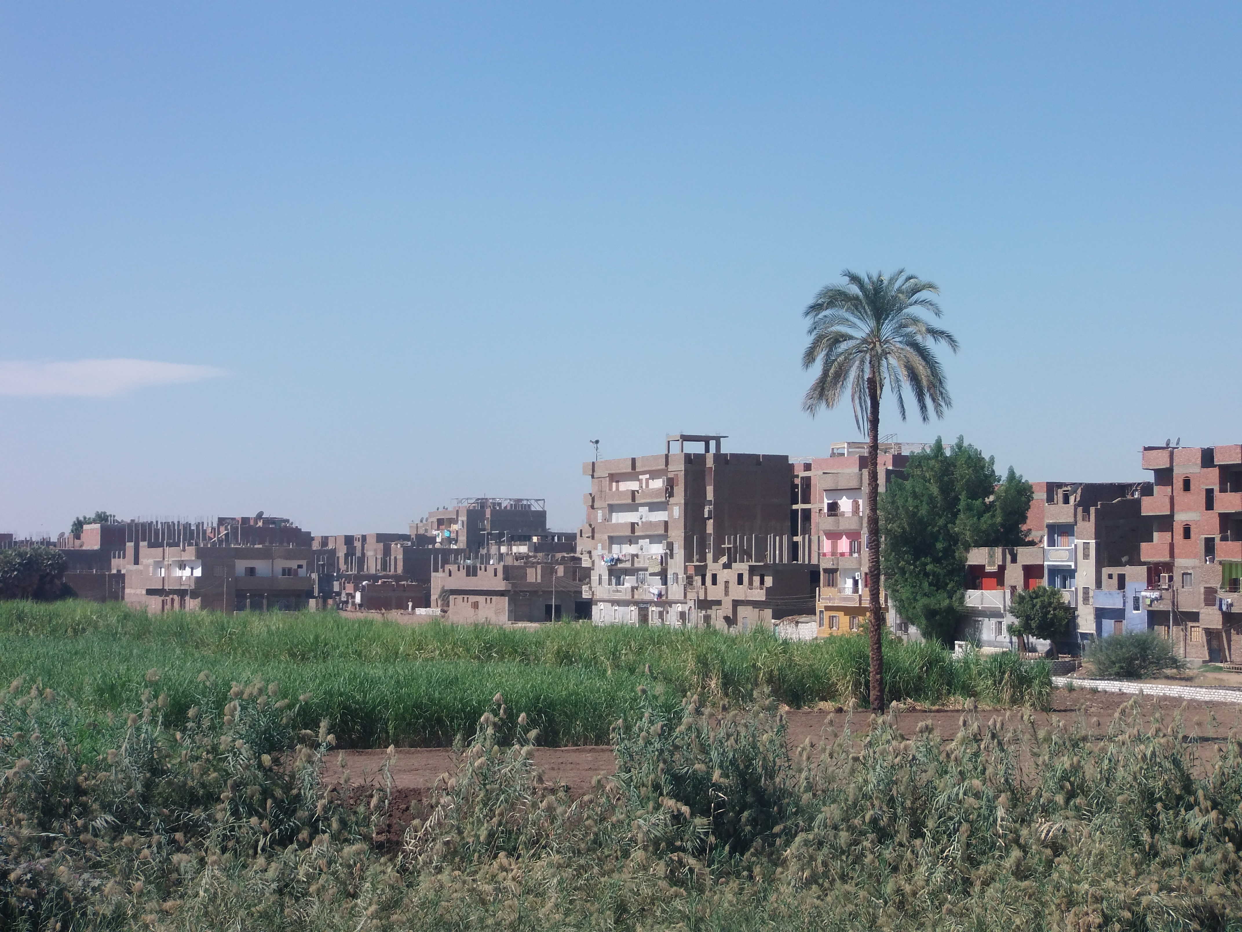 Häuser und Zuckerrohrfeld in Ägypten
