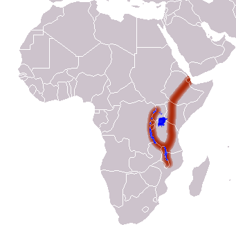 Afrikanischer Grabenbruch