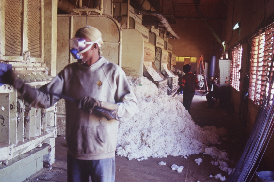 Baumwollverarbeitung in Mali