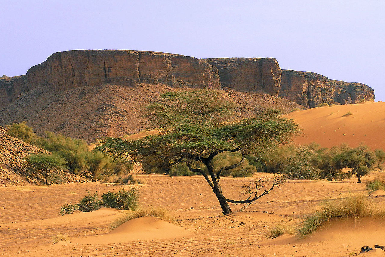 Kinderweltreise ǀ Mauretanien Land