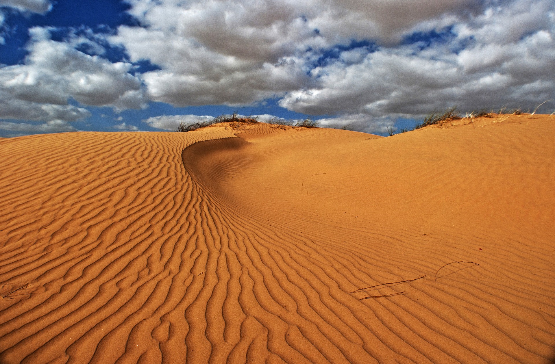 Kinderweltreise ǀ Israel Land