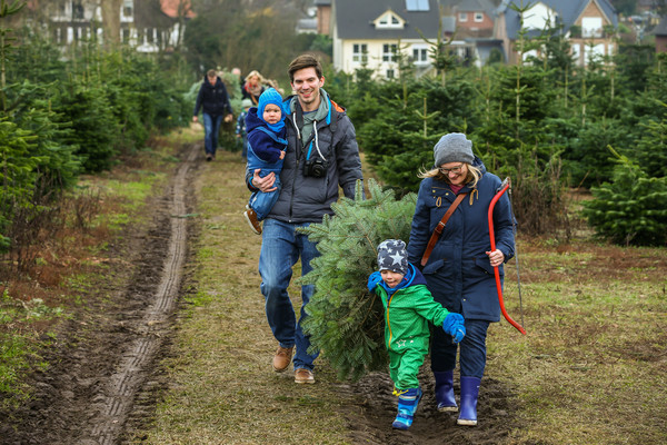 Weihnachtsbaumschlagen in Deutschland