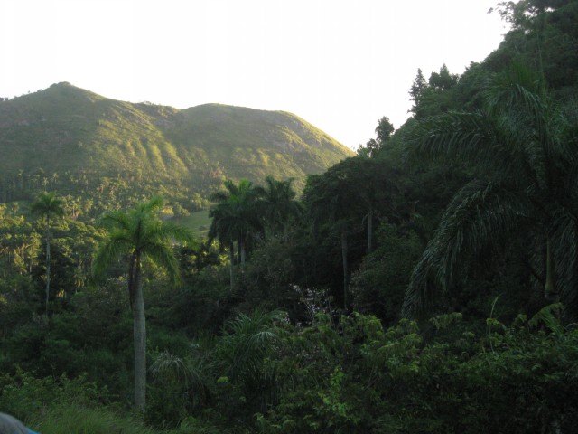 Landschaft am Escambray-Gebirge mit Palmen